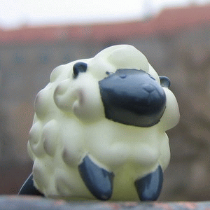 3mc's profile picture. 元バックパッカー。現ワーキングファザー（子3人）。