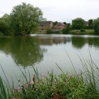 Weston Moat Fishery (@westonmoat) 's Twitter Profile