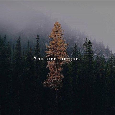 _PeLLies's profile picture. •~•
⚙️💻 
Technology enthusiast👨‍💻

Views of my own