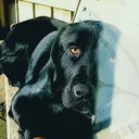 John Kilpatrick - @JohnKil80113389 - Twitter