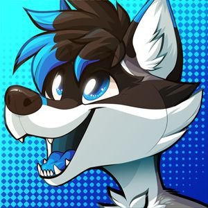 Blitz 🦝さんのプロフィール画像