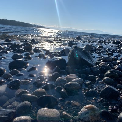 kaiamadis's profile picture. 