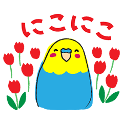 ごきげんなセキセイインコ V Twitter 今日はどんな夢を見るのかな O O おやすみなさい Zzzzz ごきげんなセキセイインコ いい夢見てね おやすみなさい Lineスタンプ販売中 Lineスタンプクリエイターズ T Co I5cf8qniya T Co