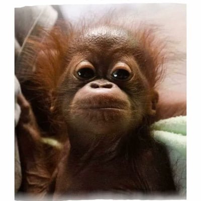 Tcgo2's profile picture. 