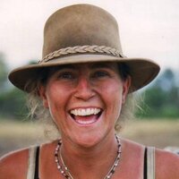 Kate Evans (@elephantkate) 's Twitter Profile