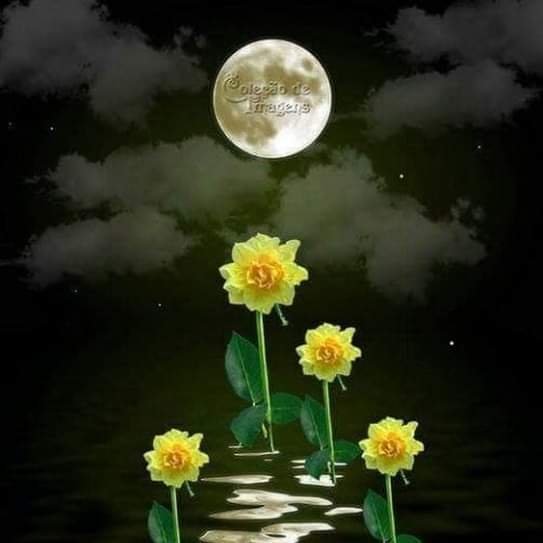 eidyBurns's profile picture. 