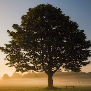 OakCircleOrg's profile picture. Roku channel #JOYTV Soon! Causes Movements Nonprofits #ClimateAction #Recycle #Environment #ClimateChange #water #savetheplanet #homeless #Vets
No time for DMs