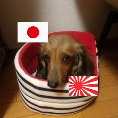 Japan first！
日本第一！
桜井誠さんを応援しています。
反日特亜三国人が大嫌い！ 
日本人に生まれて良かった。
日本人に産んでくれた父母そして御先祖様に感謝します。。。
微力ですが日本を護る為に日々精進します。