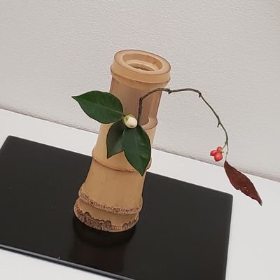 亜細亜大学古典研究会です。毎週木曜日に茶道のお稽古をしております🍵
経験、学年問わず新入部員大歓迎中です!
instagram🍵aukoteken