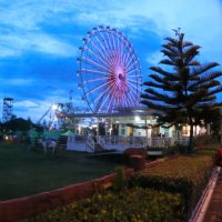 Flor Nicolas (@fdnicholas51) 's Twitter Profile