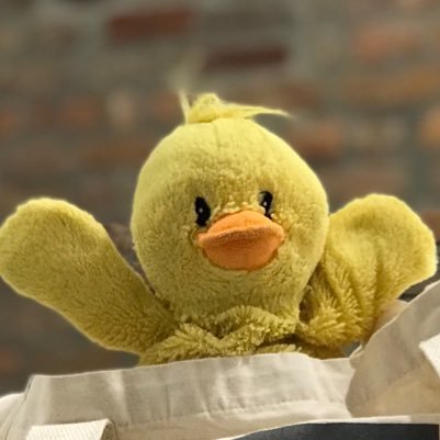 MrDuckenson's profile picture. 