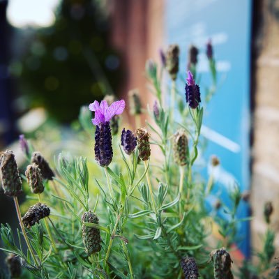 Community Centre in Appleby Cumbria. Art studios, gorgeous whole food cafe, conference facilities, rooms for hire and climbing wall. A friendly place to visit!