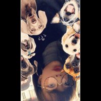 りかちよ (@murk_819) 's Twitter Profile