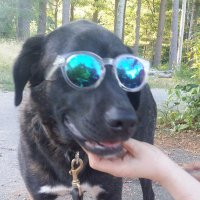 Alana (@rum_hamlet) 's Twitter Profile Photo Alana (@rum_hamlet) 's Twitter Profile Photo