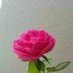 يمني جنوب جده جاد كتوم (@php0ntjplqhzy5t) Twitter profile photo يمني جنوب جده جاد كتوم (@php0ntjplqhzy5t) Twitter profile photo