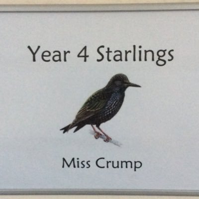 MissCrumpY4's profile picture. Y4 Starlings at Mansel Primary School 😊