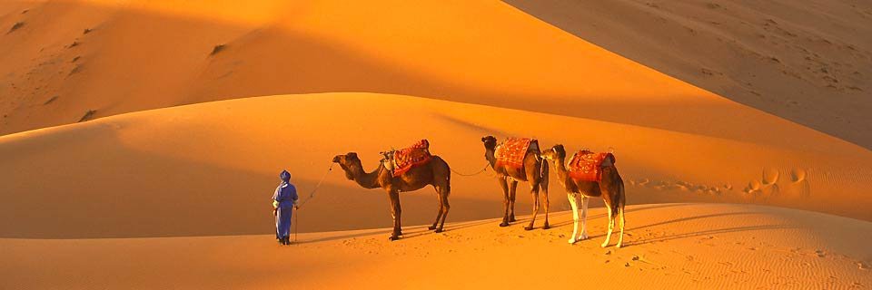 HNouadhibou's profile picture. We want to show the beauty of Nouadhibou to the whole world