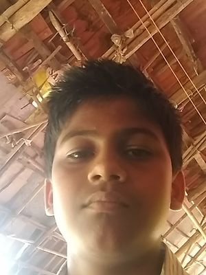 Aansh62331816's profile picture. 