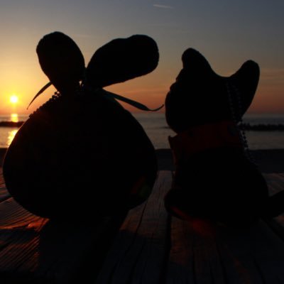 43 48(ﾖﾝｻﾝﾖﾝﾊﾁ)@ラブミ！良！！ (@hiziry_0000) / Posts / X