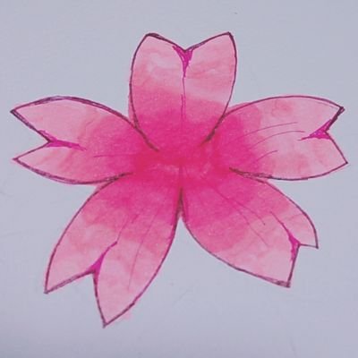 夜桜*❀٭美刀姫さんのプロフィール画像