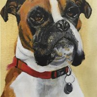 Pet Portraits(@PetPortraits6) 's Twitter Profile Photo