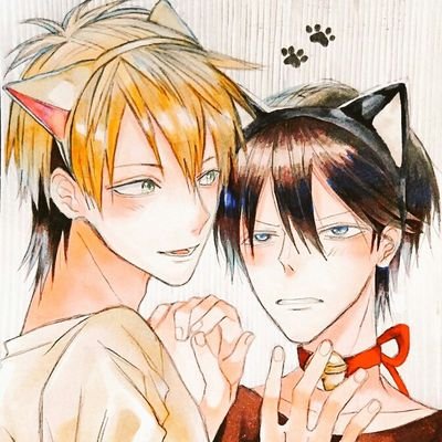 やなぎさんのプロフィール画像