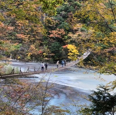 朝日大学写真部です
部員15人で活動してます
活動不定期(各自したいときにしてます)
兼部大歓迎です✨