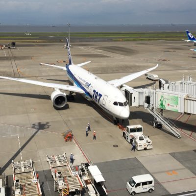 orange82737's profile picture. 