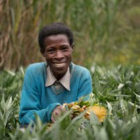 African Potato Association (@apa_conference) 's Twitter Profile