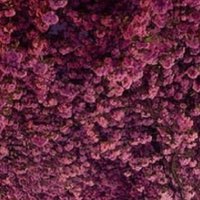 .. (@xasuv3) 's Twitter Profile
