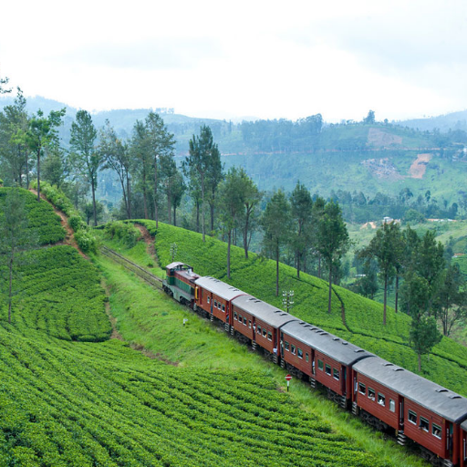 NatureofCeylon's profile picture. No Limit To Travels life