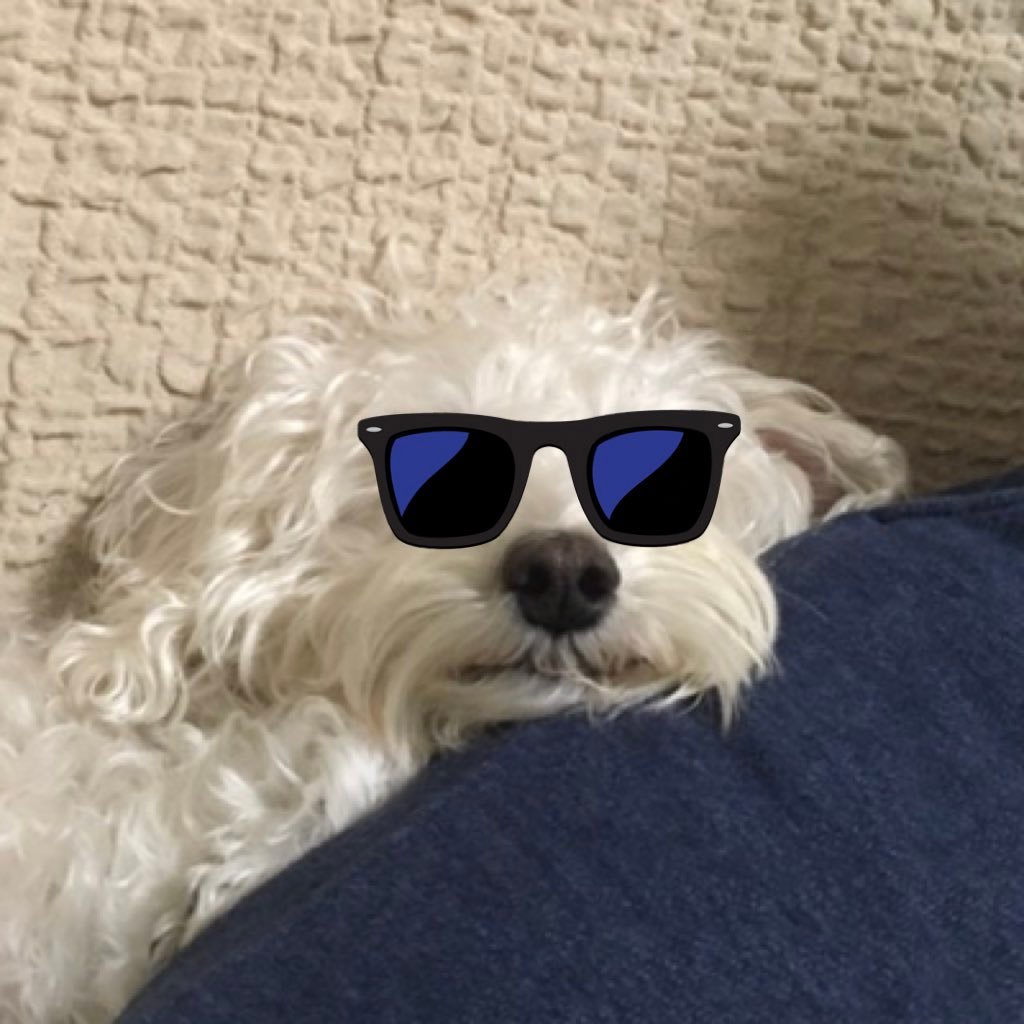 xxGoml_'s profile picture. 何見てんねん