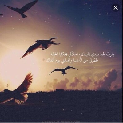 mnawwy2's profile picture. لا اله اﻷ الله