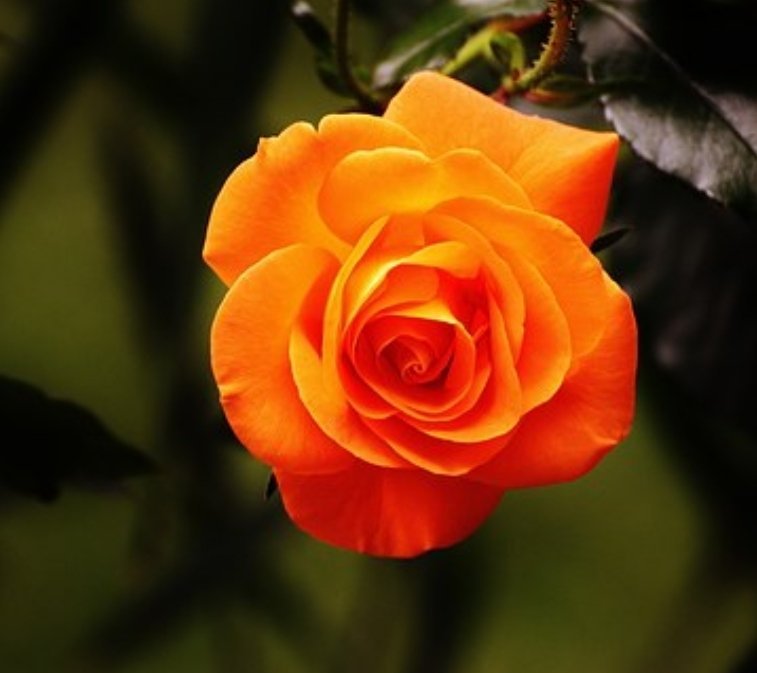 Noyb0o's profile picture. I've placed my trust in one and only true(Almighty Lord)