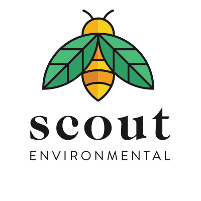 scout_env Profile Picture