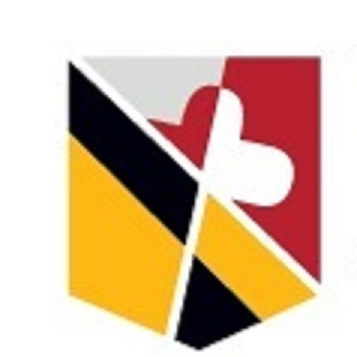 USMSM Profile