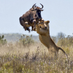 On the Go Safaris LTD (@on_safaris) Twitter profile photo On the Go Safaris LTD (@on_safaris) Twitter profile photo