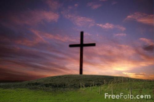 daily_messages's profile picture. Each day we will tweet a new daily message with a bible verse and sometimes, a question. Follow us!