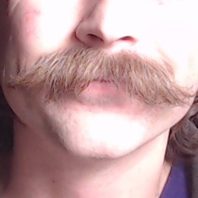 itsDombek's profile picture. he/them/tired
Please send DMs to discord.