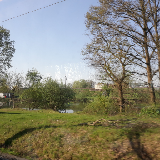 Luasinere's profile picture. 