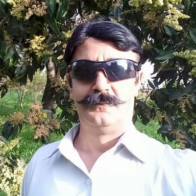 Zulfiqar786