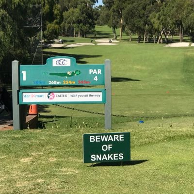 mathewambat1's profile picture. 