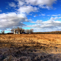 Davie County Extension (@davieextension) 's Twitter Profile