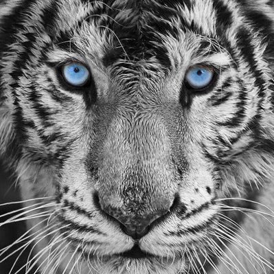 waldenwood001's profile picture. Happy