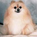 Nancy Orrantia - @Dori77 - Twitter