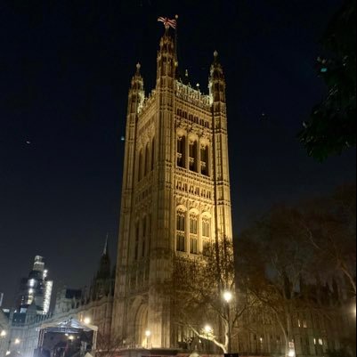 WestminsterWilf Profile Picture