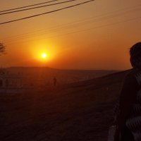 Manasi (@manasi53241728) 's Twitter Profile