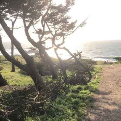 SFVassal's profile picture. It’s worth it