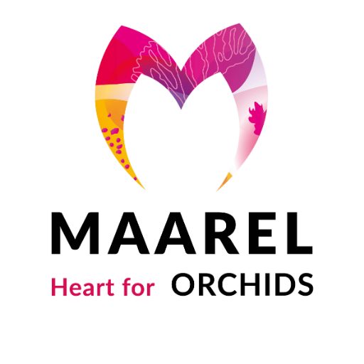 Heart for Orchids: Dat hebben wij! In het hart van het Westland kweken we 25 soorten twaalf centimeter Phalaenopsis. In die scherpe focus schuilt onze kracht.