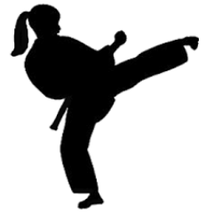 Hello there Tweet World I will be sharing some secrets and hints about martial arts